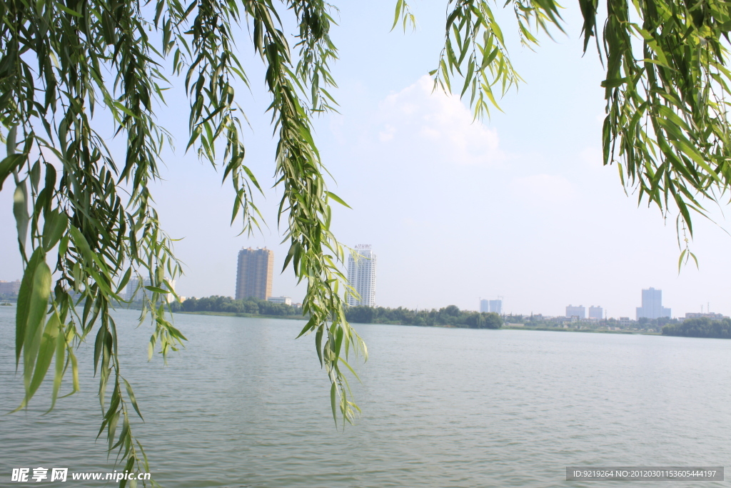 河水