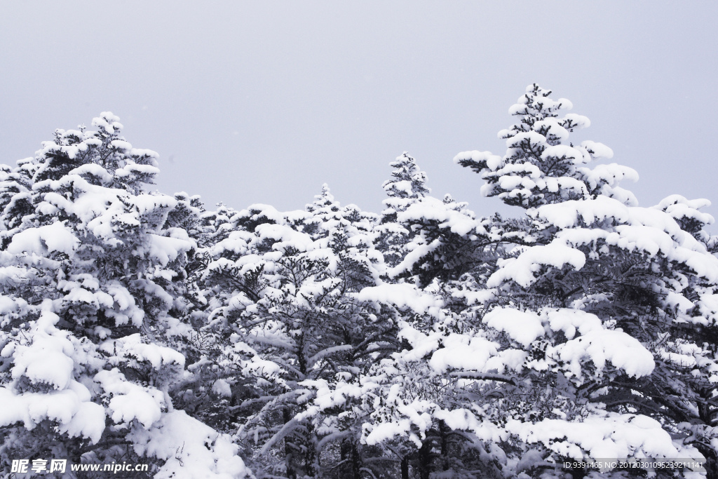 雪山