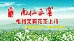 狮子头茉莉花茶