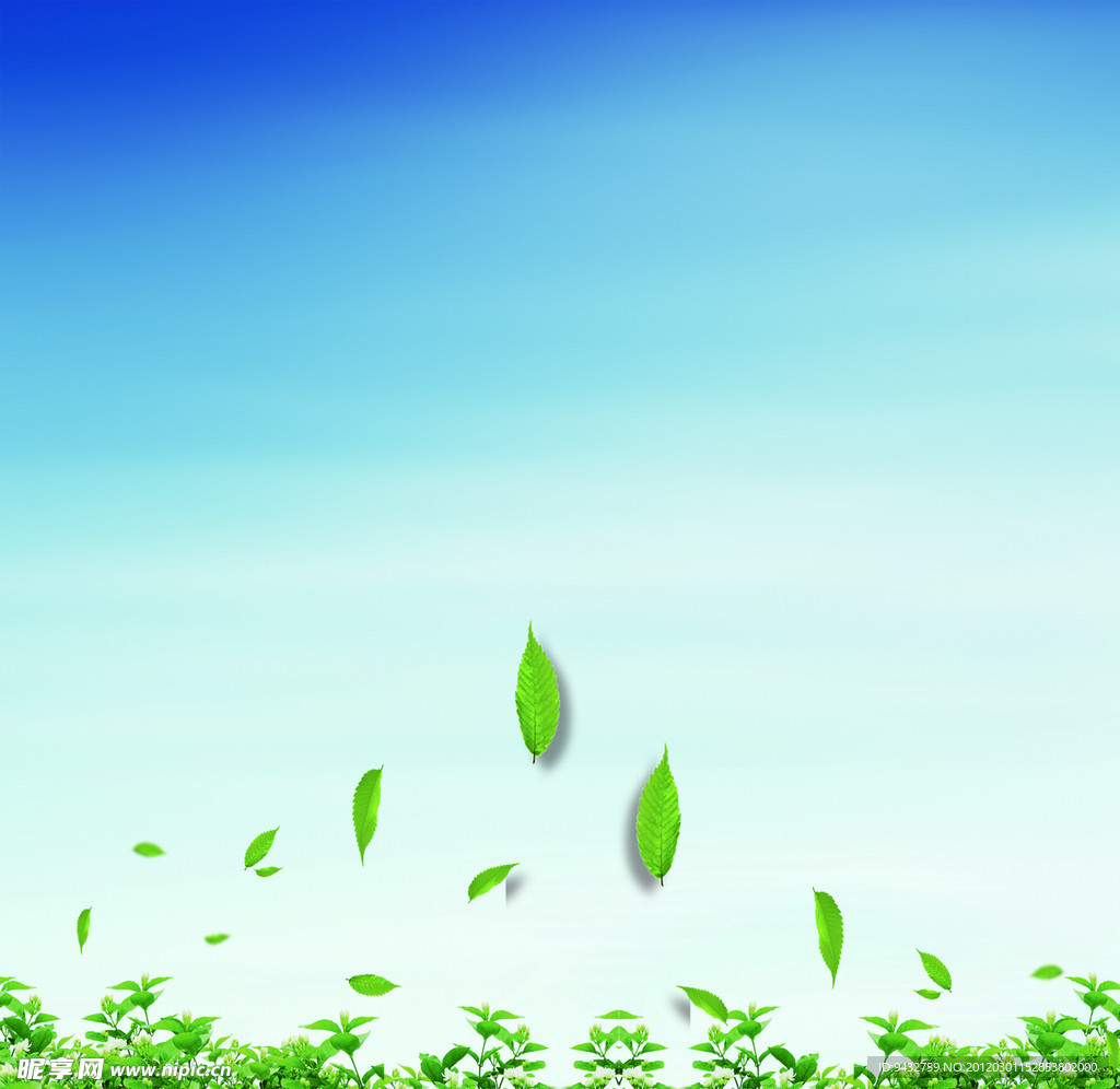 蓝天绿叶