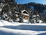 冬季原野大雪