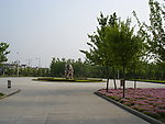 大学校园绿地景观