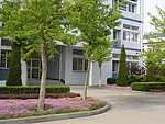 大学校园绿地景观