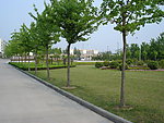 校园景观