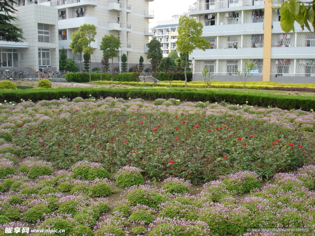 大学校园景观