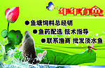 鱼 鱼场