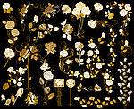 玫瑰花纹（合层）