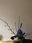 禅意插花