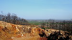 山下 田野