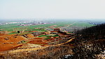 山下 田野