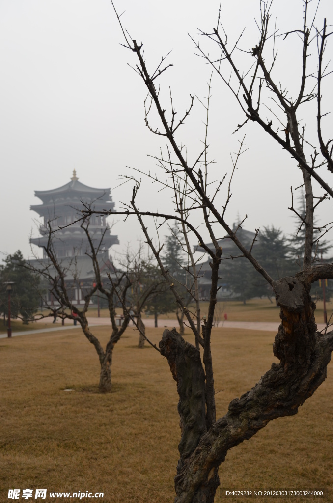 仕女馆远景