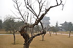 仕女馆远景