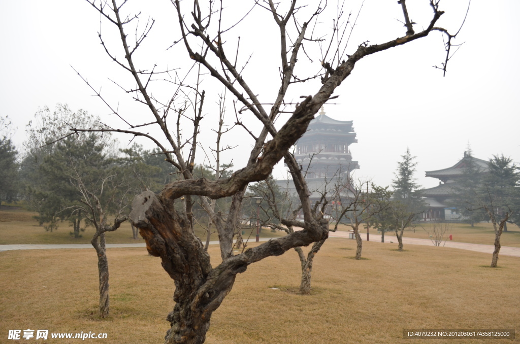 仕女馆远景