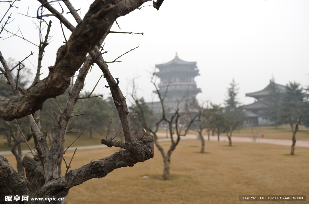 仕女馆远景