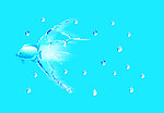 水滴水花鱼