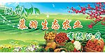 茶庄