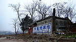 老树村