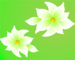 绿底白花