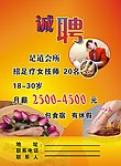 诚聘