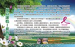 财务展板