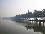 湖边