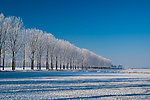 荷兰冬日乡村雪景