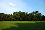 夏天绿草坪
