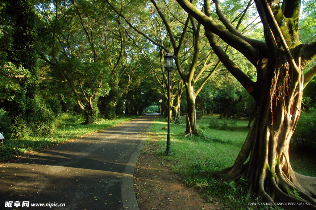 林间小路