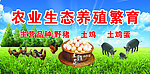 生态绿色养殖