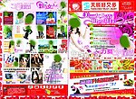 3 8妇女节DM宣传单