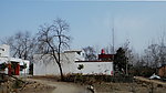 老树村