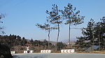山松