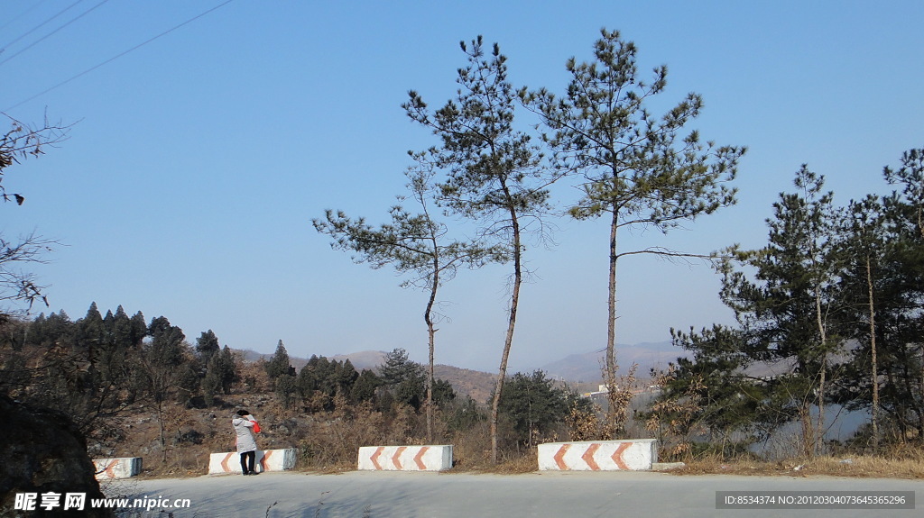 山松