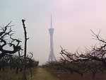 中原福塔