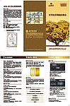 黄金之星 金之国 金条 DM宣传单