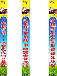高科新能源发展有限公司