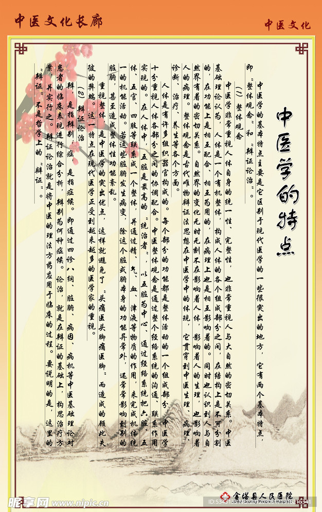 中医学的特点