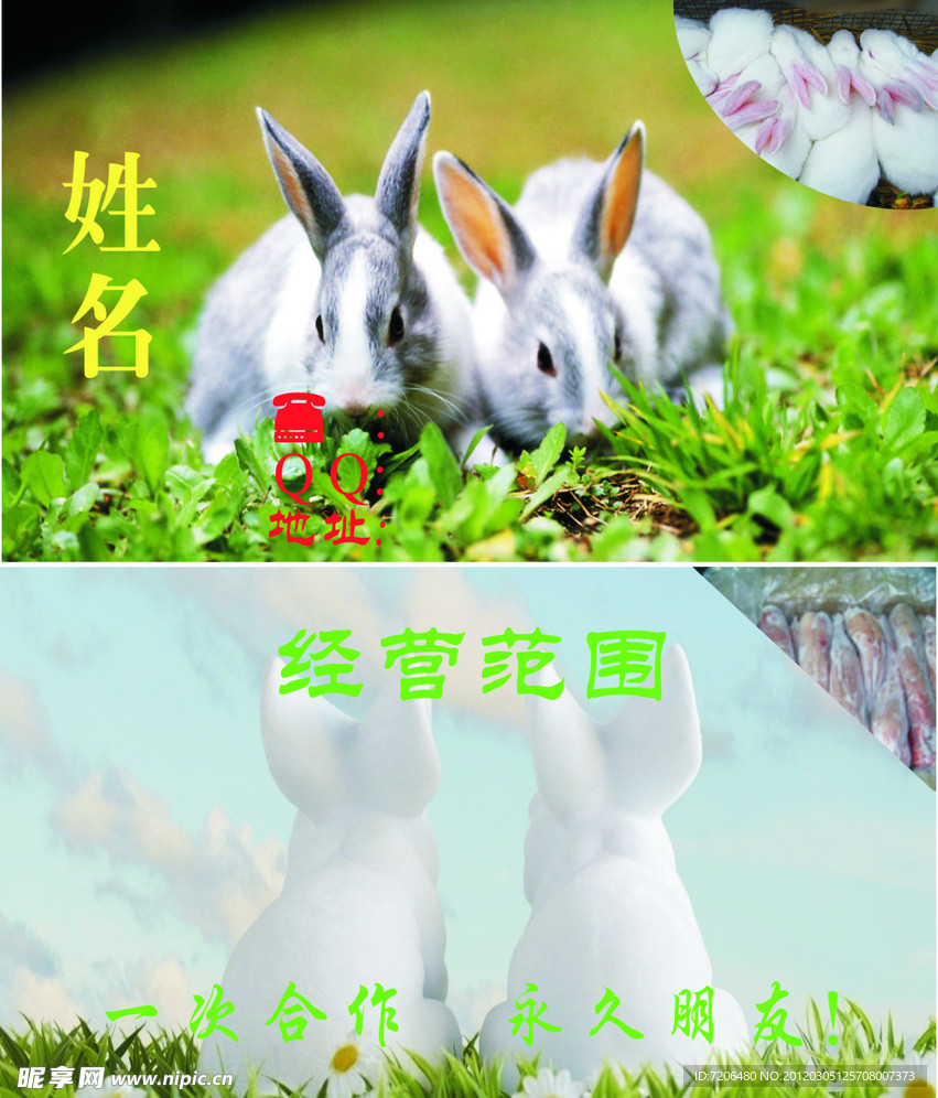 养兔名片