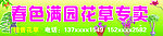 花草专卖 门头