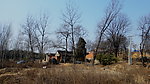 老树村