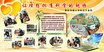 学习展板