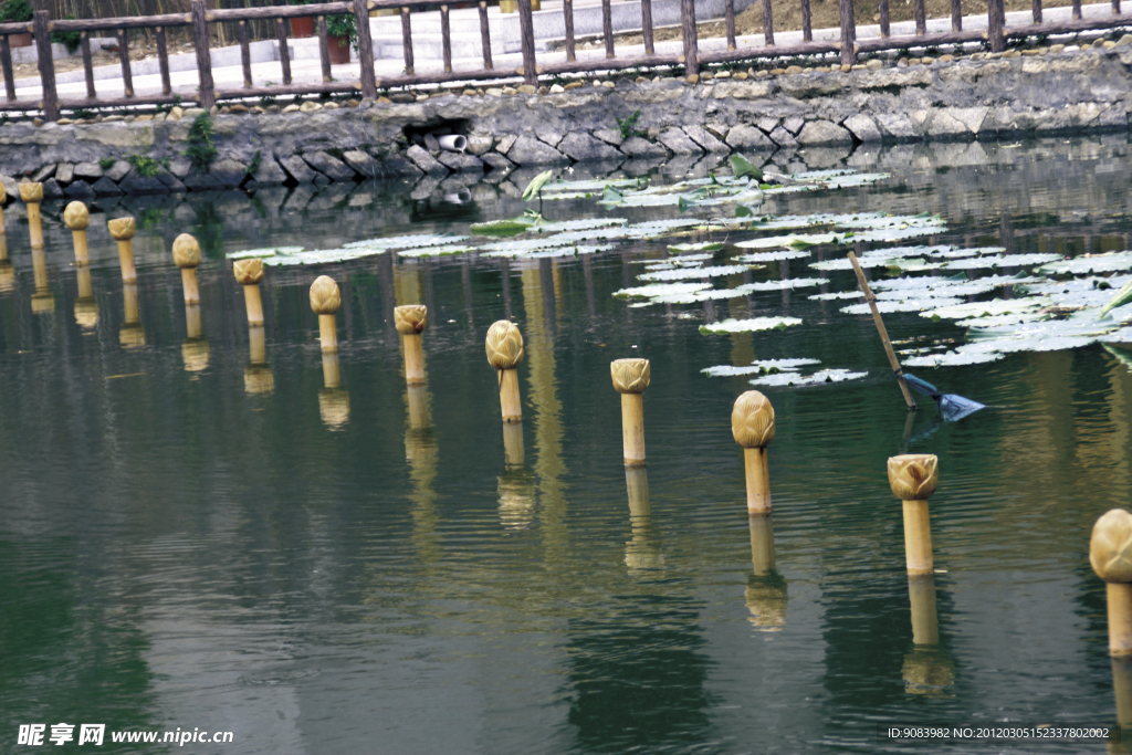 水路 浮萍