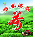 茶场