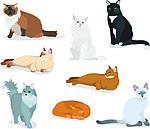 卡通小猫