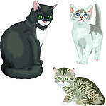 卡通小猫