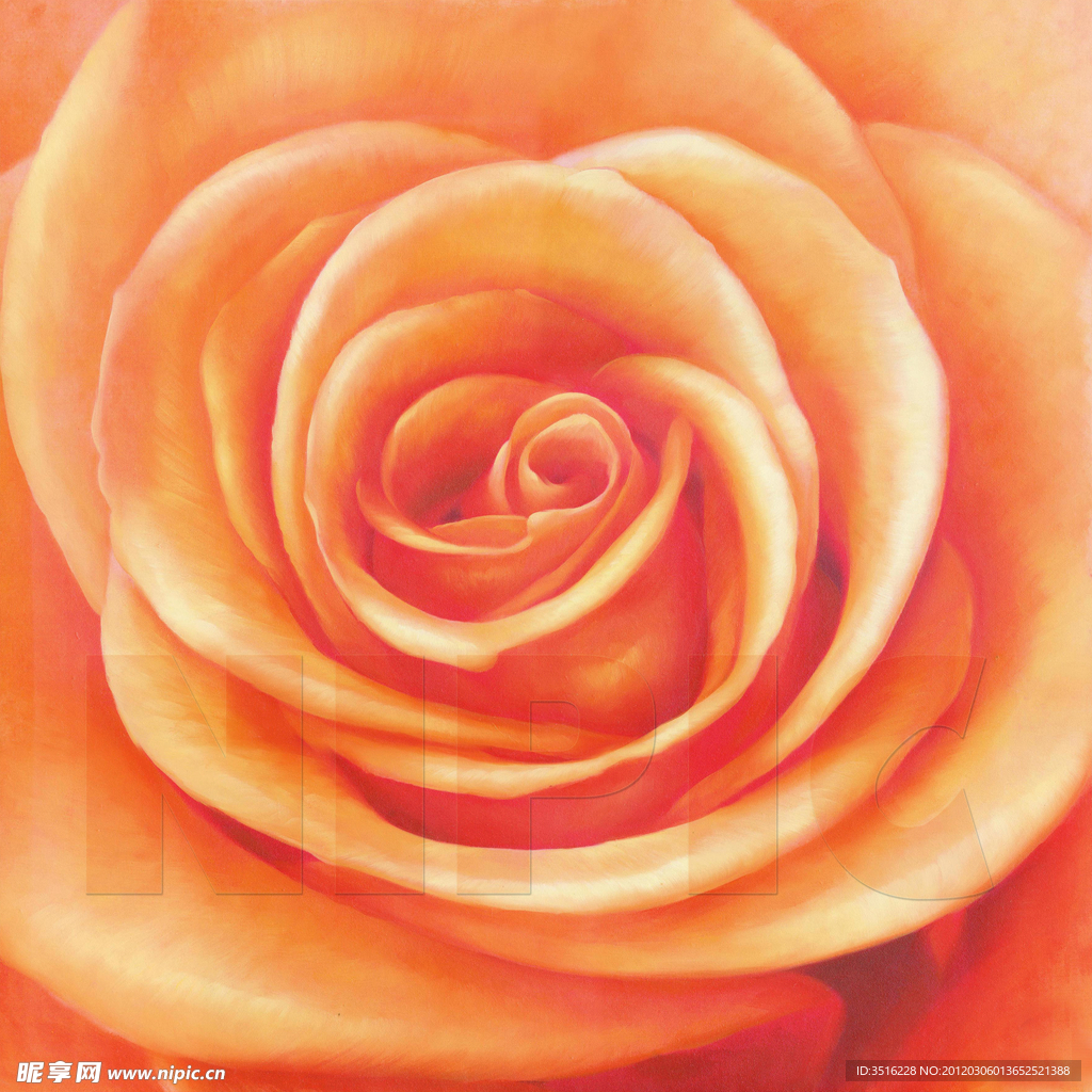 花卉油画