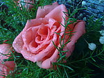 假花