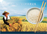 粮食公益广告