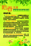 阳春三月