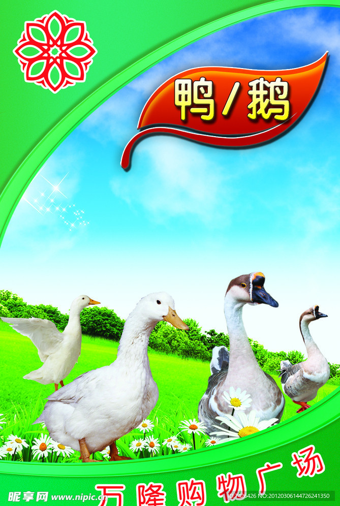 超市鸭鹅区